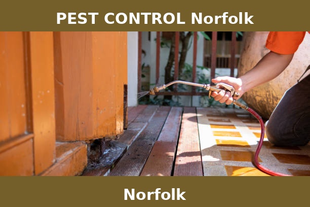 PEST CONTROL Norfolk